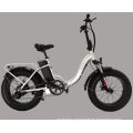 Full Suspension Electric Bike/Lady Fat Tire City E Bike
